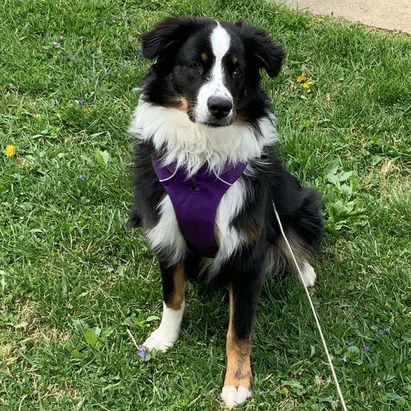 🍄Welcome to Sparrow’s Bubble..my name is Kriss! 🍄 - Picture 8 of 15